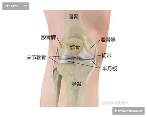 克雷桑左膝半月板韧带损伤持续缺阵 泰山进攻体系面临重构